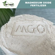Pols d'òxid de magnesi de magnesi calcinat càustic