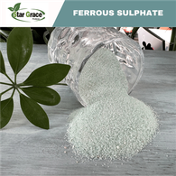 Sulfat ferros heptahidratat (FeSO4·7H2O)