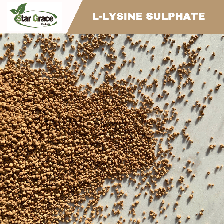 Animal Nutrition L-Lysine Sulphate