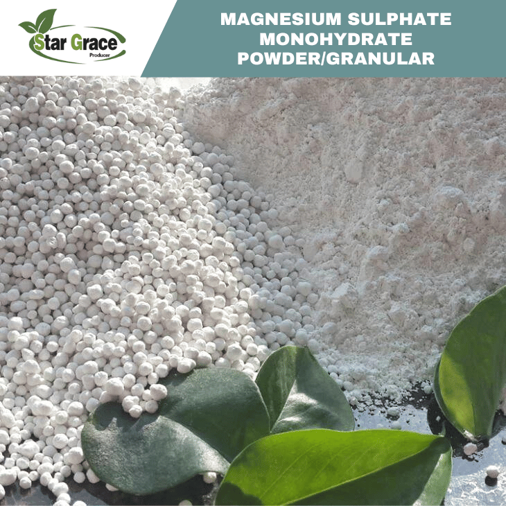 Kieserite Fertilizer for Oil Palm