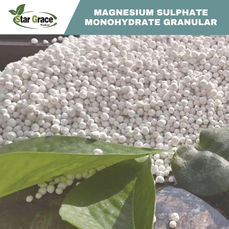 Kieserite MgSO4
