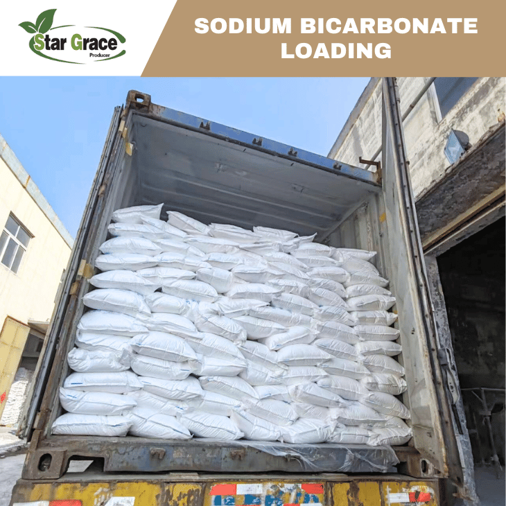 Sodium Bicarbonate Medical Use