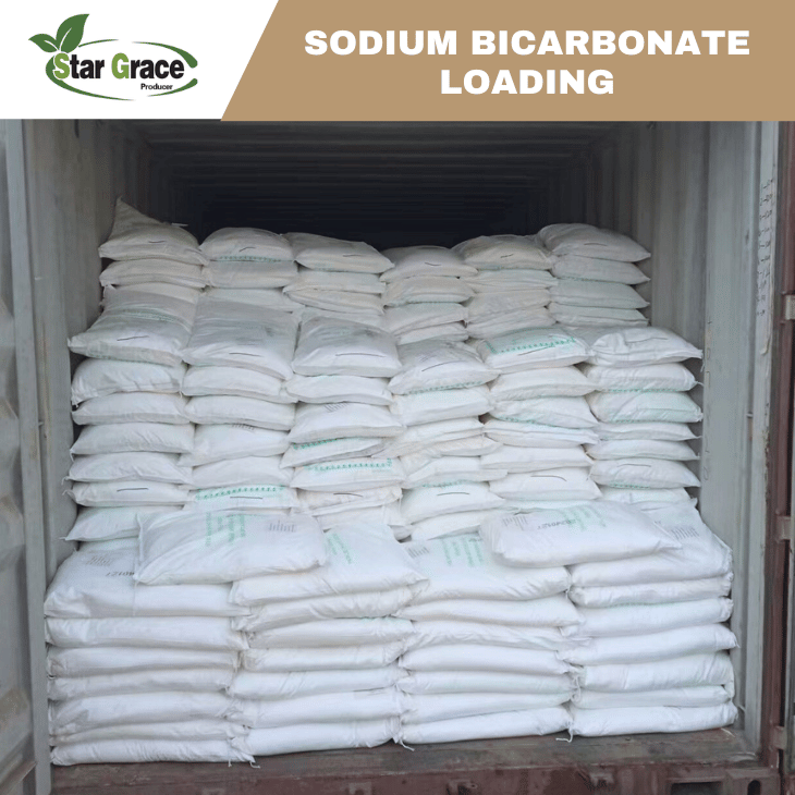 Sodium Bicarbonate What Is It Used For