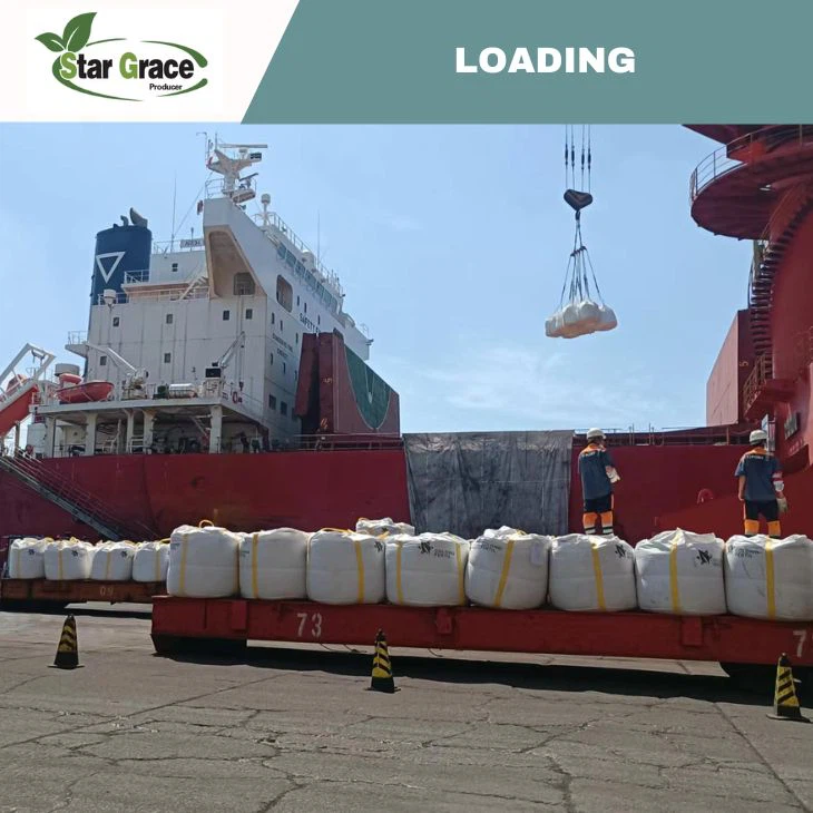 Zinc Sulphate Feed Grade